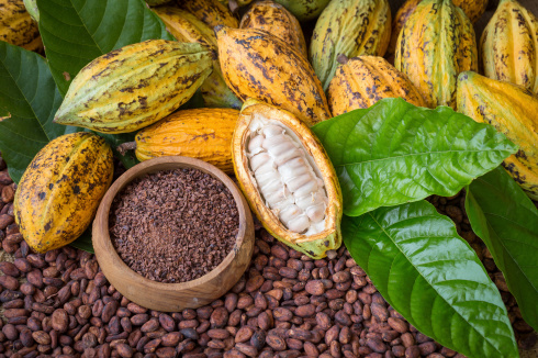 How much cadmium is contained in cocoa beans?