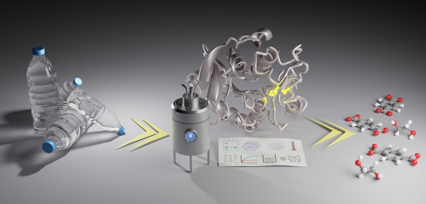 In principle, PET molecules can be broken down into their basic building blocks using suitable enzymes. In practice, however, these approaches are difficult to transfer to an industrial scale. A new study shows how raising the bar in laboratory experiments could help identify promising enzymes for up-scaling and thus accelerate the development of industrial enzymatic plastics degradation.