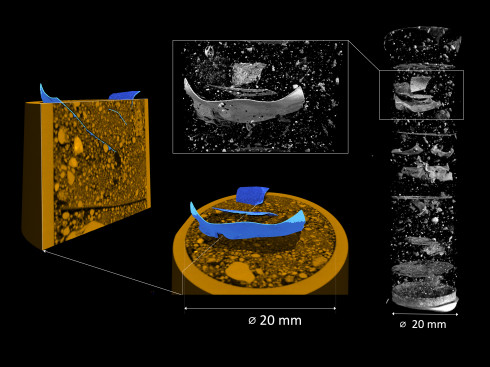 Mikroplastik im Ackerboden: Tomographie zeigt, wo sich die Partikel einlagern