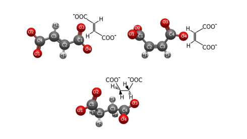 BESSY II: Molecular orbitals determine stability