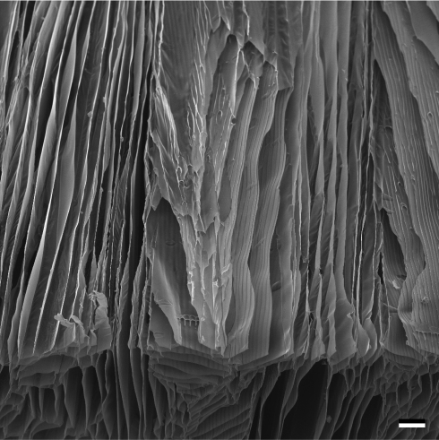 Freeze casting - a guide to creating hierarchically structured materials