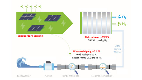 Grner Wasserstoff mit direkter Meerwasser-Elektrolyse  Expert*innen warnen vor einem Hype