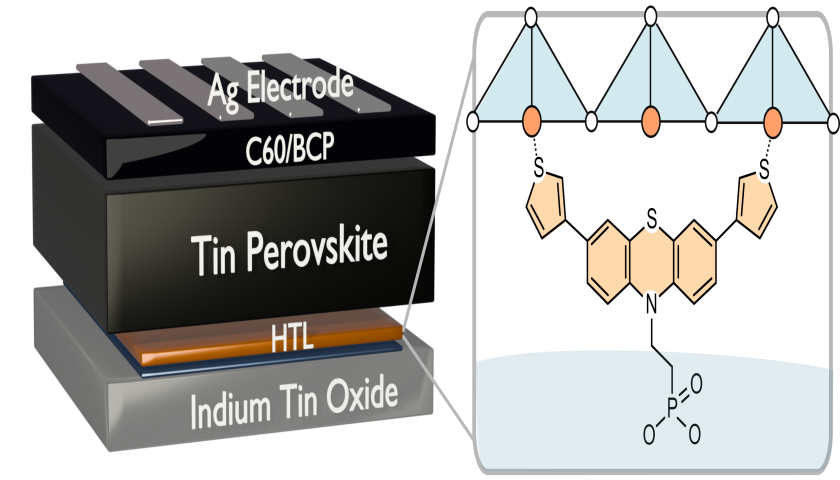 Eine selbstorganisierte Lage aus Phenothiazin-Molek&uuml;len erm&ouml;glicht die Bildung von Perowskit-Schichten mit guter optoelektronischer Qualit&auml;t und reduziert Verluste.