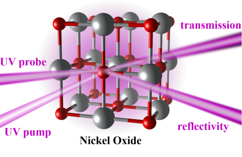 Shedding light on insulators: how light pulses unfreeze electrons