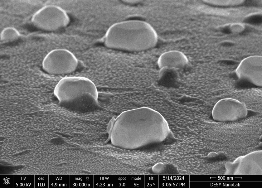Diese Aufnahme mit dem Rasterelektronenmikroskop zeigt mit Rhodium beschichtete Platin-Nanopartikel auf einem leitf&auml;higen Substrat. Die kristallinen Facetten sind deutlich an der Polyederform der Nanopartikel zu erkennen.