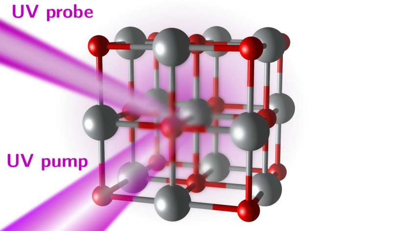 Wenn Nickeloxid (NiO) mit ultrakurzen UV-Lichtimpulsen angeregt wird, werden die Elektronenabsto&szlig;ungen kurzzeitig schw&auml;cher, wodurch sich der Isolator eher wie ein Metall verh&auml;lt. Um diesen Effekt zu erfassen, wurde das Material mit UV-Impulsen untersucht und die Absorption und Reflektivit&auml;t gemessen. Die Ergebnisse zeigen, dass sich die Elektronenabsto&szlig;ung mit Licht beeinflussen l&auml;sst.