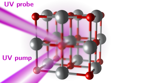 Metalloxide: Wie Lichtpulse Elektronen in Bewegung setzen