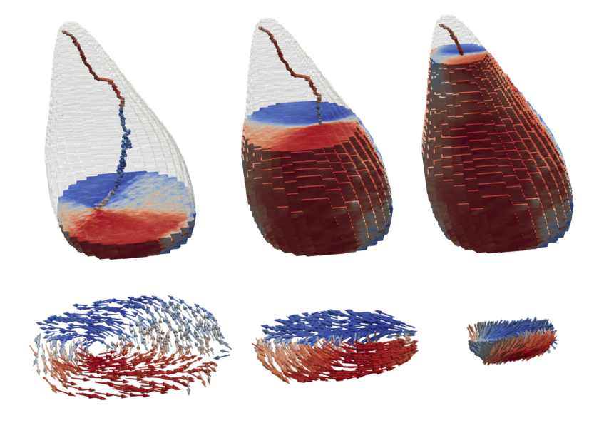Cuts of the 3D magnetic volume of the fossil in three different heights: The blue/red colour indicates the in-plane component of the magnetisation, with magnetic moments swirling around a central line, forming a vortex pattern much like a tornado (see projections at the bottom). The 3D reconstruction has been obtained based on 140 individual images at different angles.