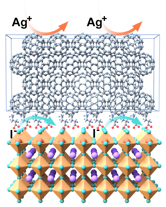 A fluorinated compound between the perovskite and the buckyball (C<sub>60</sub>) contact layer forms an almost monomolecular film that acts as a chemical protective barrier and increases the stability of the cell.&nbsp;