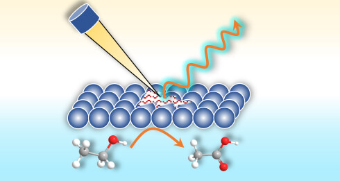 Electrocatalysis with dual functionality  an overview