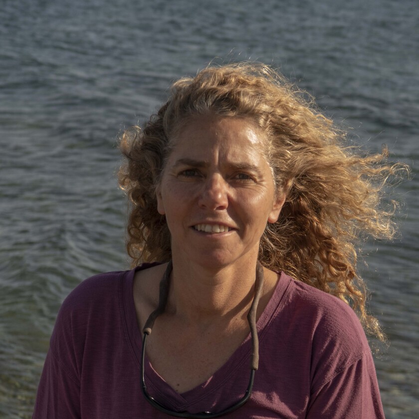 Tali Mass is a full professor in the Marine Biology Department, The Leon H. Charney School of Marine Sciences, University of Haifa, Israel. She aims to understand how corals catalyze the precipitation of biomineral. In addition, she explores on how calcifying marine organisms respond physiologically and morphologically to changes in their environment and to better understand the role of algal (genus Symbiodinium) symbionts in coral (host) calcification.