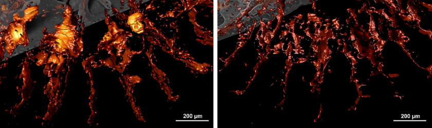 Magnified views reveal a change in distribution of RADs between the different pH conditions, today (left) and in a possible RCP8.5 szenario (right).