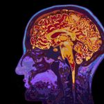 The working memory can process only few informations at once.