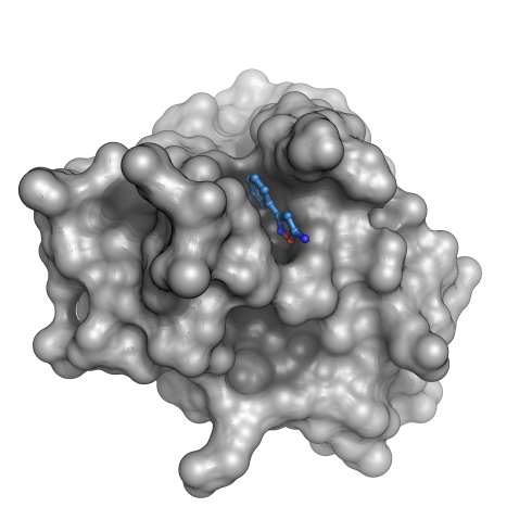 5000. Proteinstruktur an BESSY II: Startpunkt f�r einen COVID-Wirkstoff