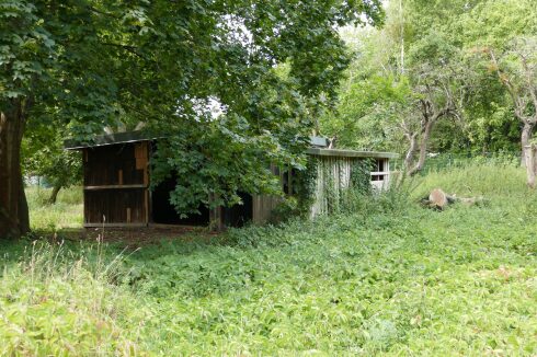 Eine alte Barracke dient als Schafsstall.