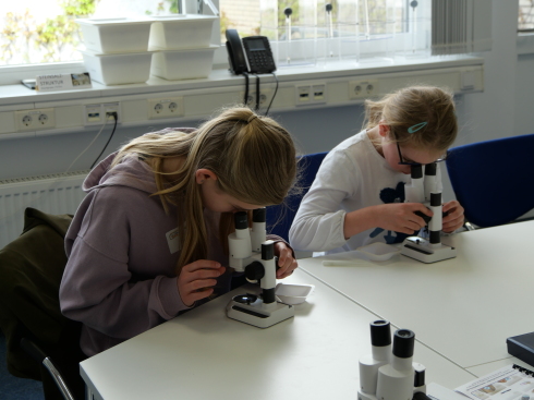 Auf die Details kommt es an: M&auml;dchen beim Mikroskopieren.