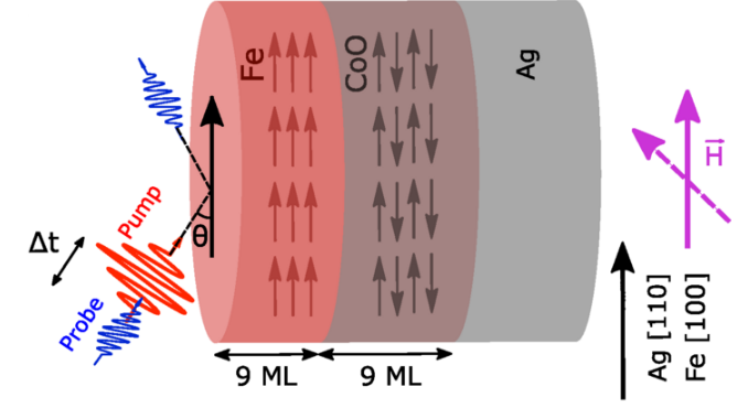 Skizze der Probe (v.l.n.r.): Eine ferromagnetische Eisen-Schicht (Fe) und eine antiferromagnetische Kobaltoxid-Schicht (CoO), jeweils neun Atome dick, befinden sich auf einem Silber-Einkristall. Die Probe wird mit einem ultrakurzen Infrarotlaserpuls angeregt. Als Antwort auf die Anregung werden die Weichr&ouml;ntgenpulse erfasst und analysiert. Daraus l&auml;sst sich das Abklingen der antiferromagnetischen Ordnung ermitteln.&nbsp;