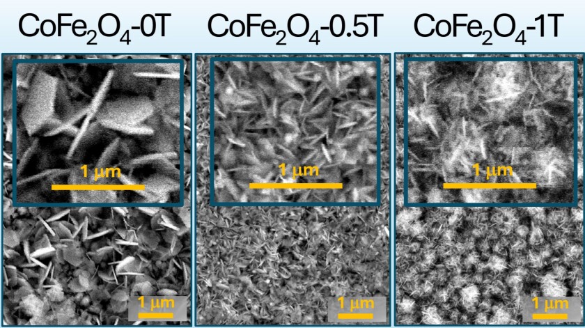 Scanning electron microscopy shows CoFe<sub>2</sub>O<sub>4</sub> thin films after their use as an electrocatalyst for ammonia synthesis from nitrate. The significantly &ldquo;rougher&rdquo; surface of the CoFe<sub>2</sub>O<sub>4</sub> produced at 1 Tesla is particularly striking.</p>
<p>&nbsp;