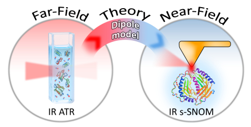 BESSY II: Hochaufgel�ste Einblicke in einzelne Biomolek�le und Katalysatoren