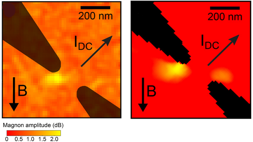 Measurements on Maxymus show (left) that the magnon amplitude does not increase uniformly at both edges of the constriction, but only at one edge. This experimental finding can only be reproduced by micromagnetic simulations if three effects that have hitherto been neglected are taken into account (right).