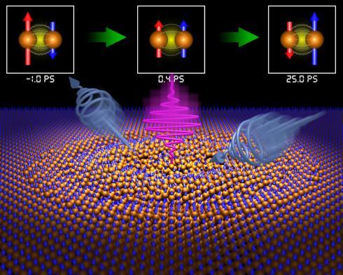 Ultra-Fast Magnetic Reversal Observed