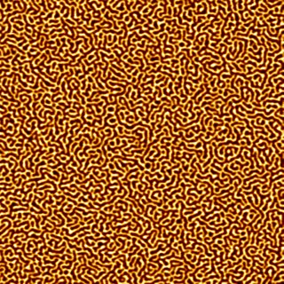 Magnetic force microscope image of a 10 by 10 micron sample<br />showing the magnetic domains' labyrinthine structure.<br />