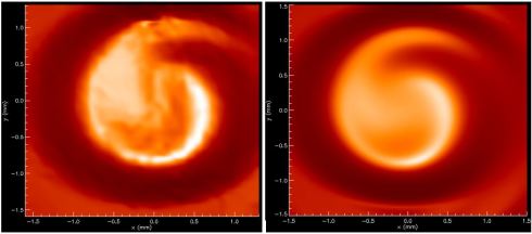 First Observation of Undulator Photon Beams Carrying Orbital Angular Momentum