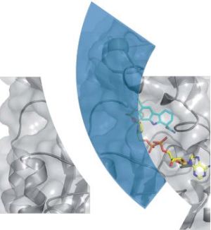 Festsymposium zur 1000. Proteinstruktur an BESSY II 