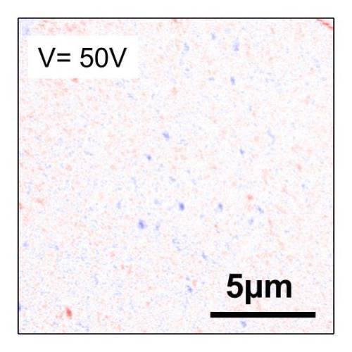 XMCD-PEEM Bilder zeigen, wie eine elektrische Spannung die magnetische Ordnung ver&auml;ndert. Ohne &auml;u&szlig;eres, elektrisches Feld (0 V) dominiert die ferromagnetische Ordnung (blaue und rote Punkte). Mit einem &auml;u&szlig;eren elektrischen Feld (50 V) ist die Probe antiferromagnetisch. Die Messung wurde bei einer Temperatur von 385 Kelvin oder 112 &deg;Celsius gemacht. 