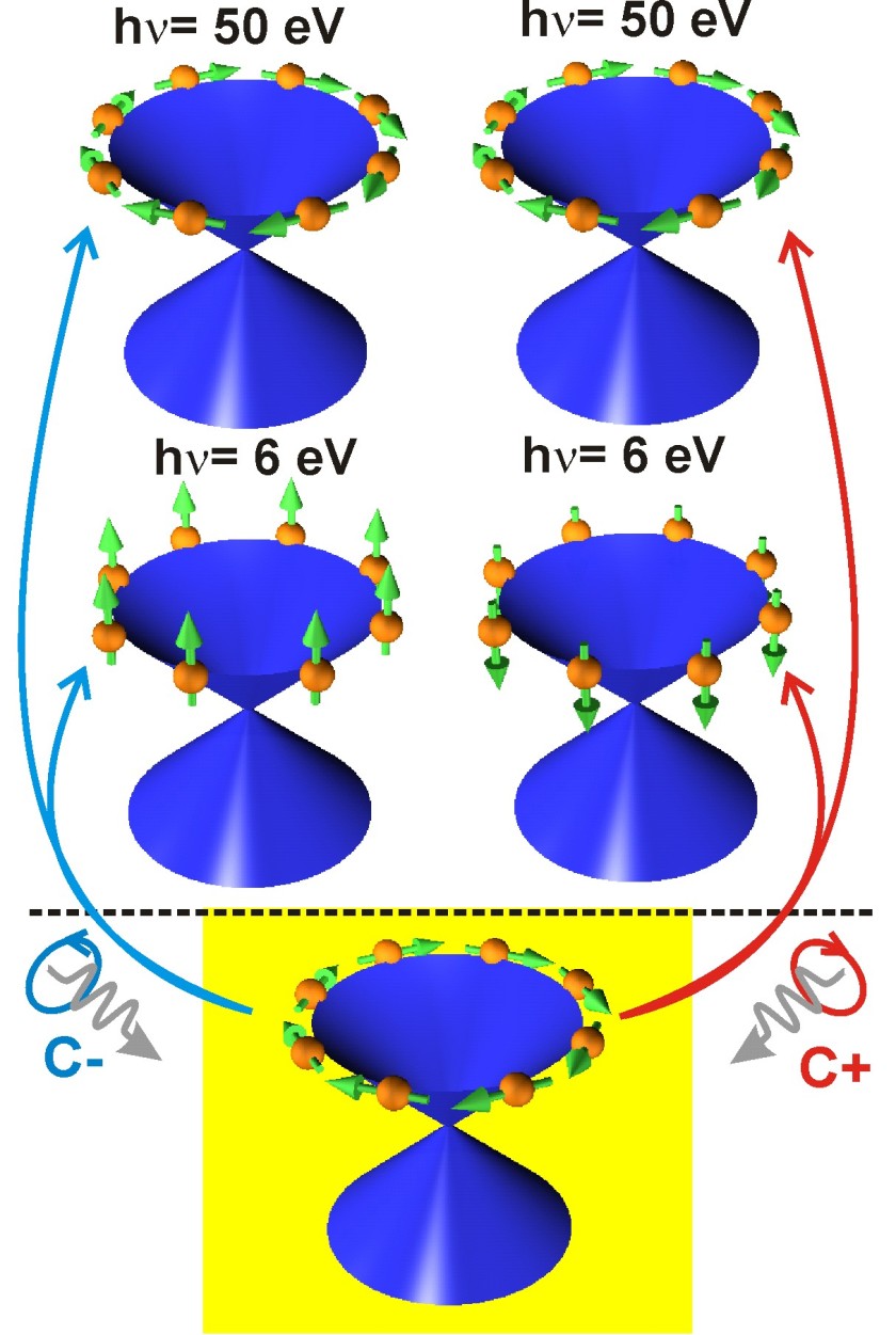 Die Abbildung zeigt die typische Spintextur (Pfeile) eines topologischen Isolators und wie diese durch zirkular polarisiertes Licht kontrolliert ver&auml;ndert wird. <em></em> <em>Rader/Sachez-Barriga/HZB</em>