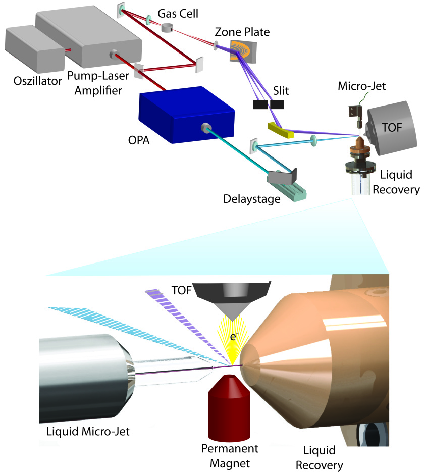 Die schematische Zeichnung zeigt, wie die Lichtpulse durch die Zonenplatte monochromatisiert auf die Probe geleitet werden (oberer Teil der Grafik). Im Zoom (unterer Grafikteil) erkennt man den winzigen Fl&uuml;ssigkeitsstrahl (Mikrojet), der die zu untersuchenden Molek&uuml;le enth&auml;lt. Kredit: FU/HZB