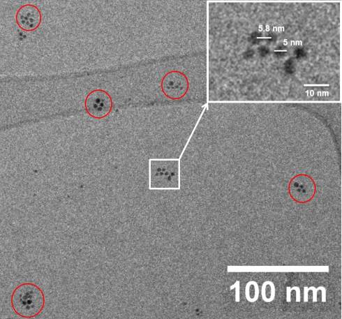 Nanoteilchen aus Gold gruppieren sich selbstndig