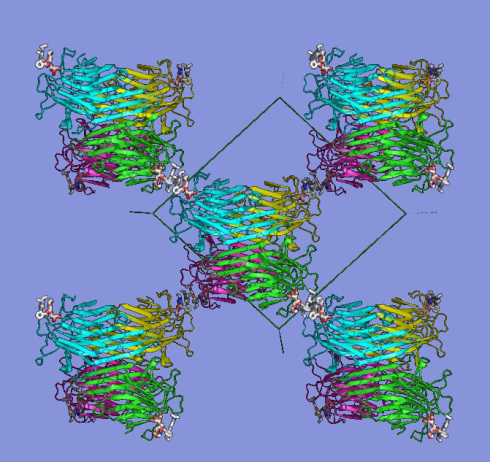 Proteine: Neue Materialklasse entdeckt
