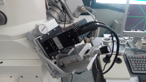 Multi-spectra glasses for scanning electron microscopy