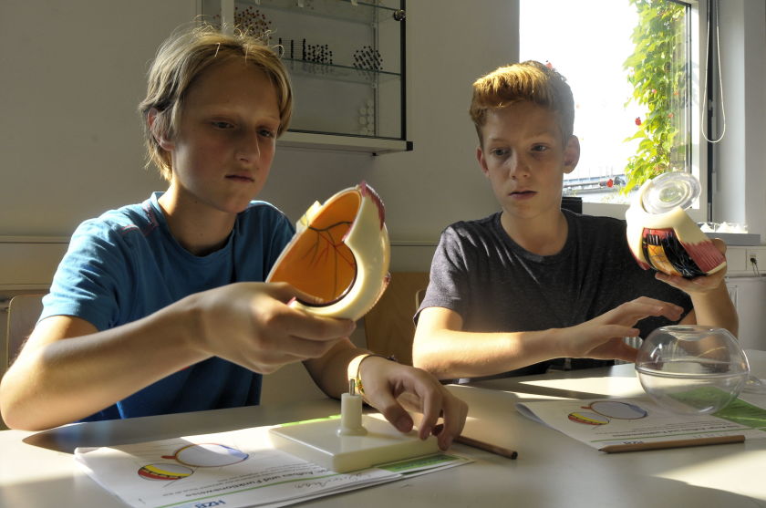 Wie ist das Auge aufgebaut? (Foto: kmh)