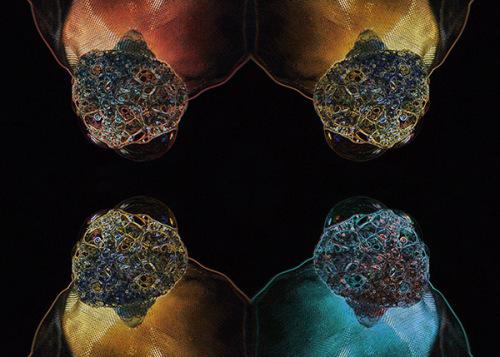 Symmetrien; Bildrecht: K.Berthold