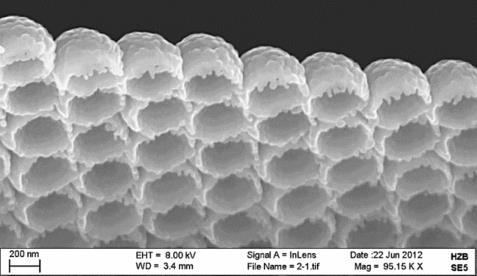 Am HZB-Institut f&uuml;r Solare Brennstoffe werden auch nanostrukturierte Metalloxide auf ihre Eignung als effiziente und preiswerte Katalysatoren f&uuml;r die k&uuml;nstliche Photosynthese untersucht.  