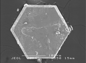 Der Durchmesser der hexagonalen Einkristalle aus SrCo<sub>6</sub>O<sub>11</sub> misst h&ouml;chstens 0,2 Millimeter.