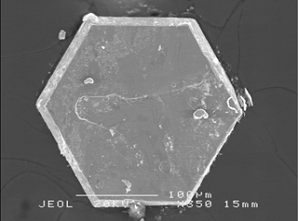 Emergence of a devils staircase in a spin-valve system