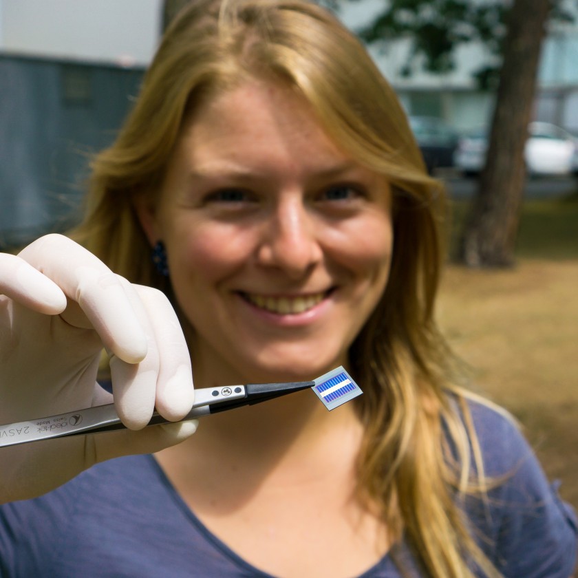 Sara J&auml;ckle hat gezeigt, dass sich an der Grenzfl&auml;che zwischen organischem Kontakt und n-dotiertem Silizium ein pn-&Uuml;bergang ausbildet. </p>
<p>