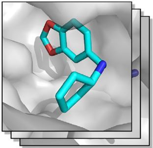 The new expert system allows a more reliable detection of fragments that can be considered as suitable starting points or promising molecular portions for the development of potent active agents.