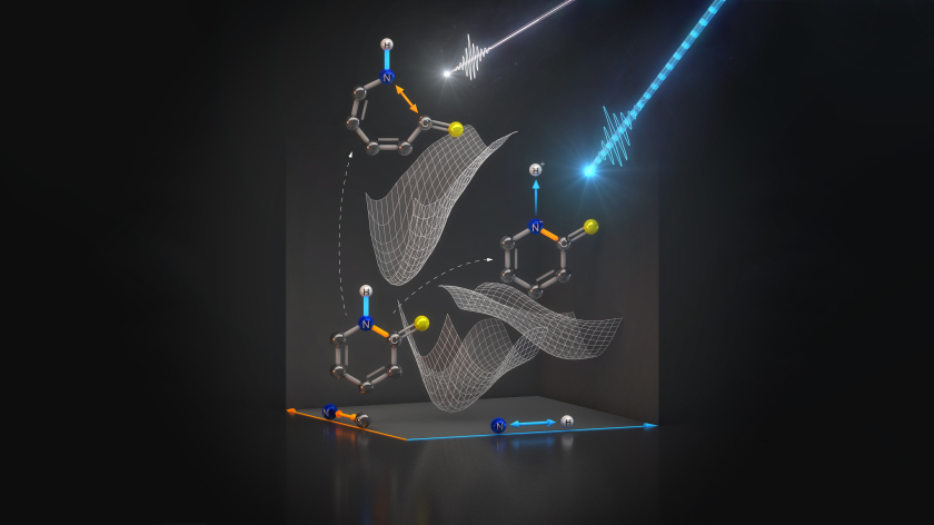 The experimental data show, how a light pulse dissociates a hydrogen nucleus from the nitrogen atom without destroying important bonds within the molecule.