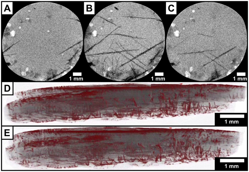 Ein Beispiel aus der Arbeit: Die &bdquo;operando-Radiographie" (A)&ndash;(C) zeigt, wie sich beim Entladen und Laden einer Lithium-Schwefel-Zelle Schwefelverbindungen (schwarze Strukturen) auf der Kohlenstoff-Kathode (grau) ablagern. 