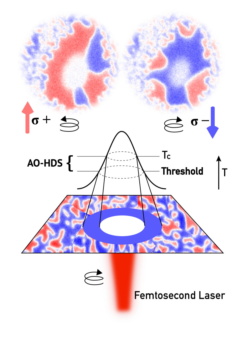 </p>
<p>Laser pulse trains above threshold at opposite helicities showing AO-HDS and schematic showing laser profile and AO-HDS.