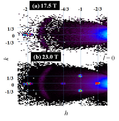 High Field Magnet at BER II: Insight into a hidden order