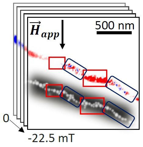 Experiments at BESSY II revealed how an external magnetic field changes the orientiations of chain parts. 