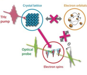 Future information technology: Microscopic insight into processes when magnets suddenly heat up