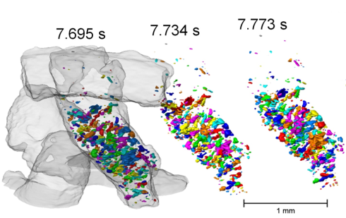 World record: Fastest 3D tomographic images at BESSY II