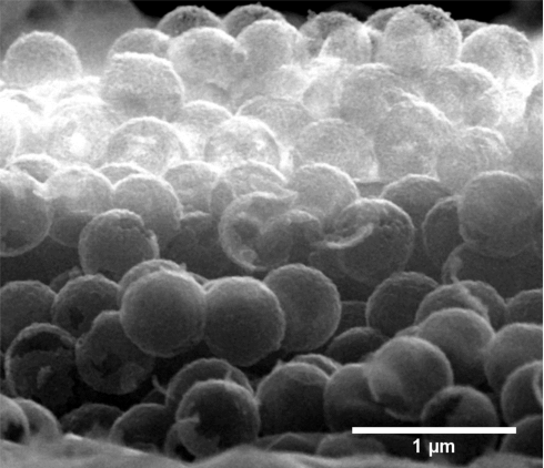 Nanodiamonds as photocatalysts