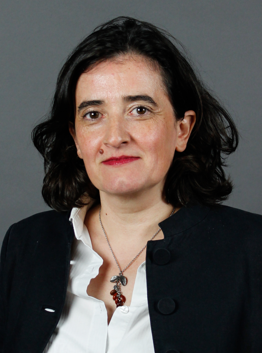 Catherine Dubourdieu leitet am HZB das IFOX-Institut. die Physikerin wurde nun in den Vorstand der MRS gew&auml;hlt.